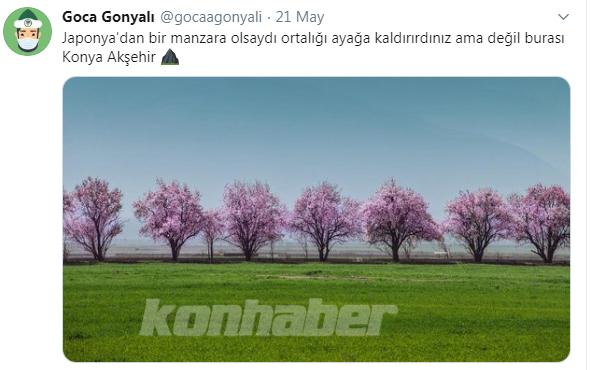 Konya ile ilgili atılmış en güzel tweetler