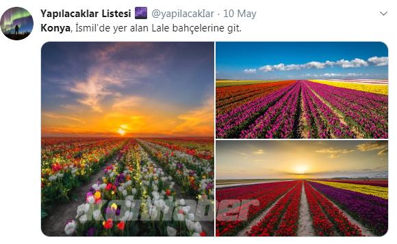 Konya ile ilgili atılmış en güzel tweetler