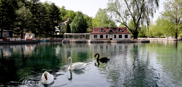 İç Anadolu’nun ortasındaki eşsiz güzellik: Kuğulu Milli Parkı
