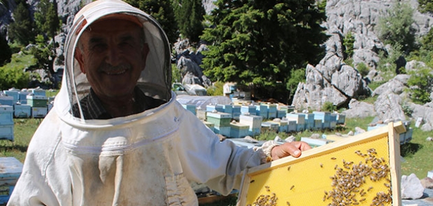 Arıcılar bu yıl bal verimi ve kalitesinden umutlu