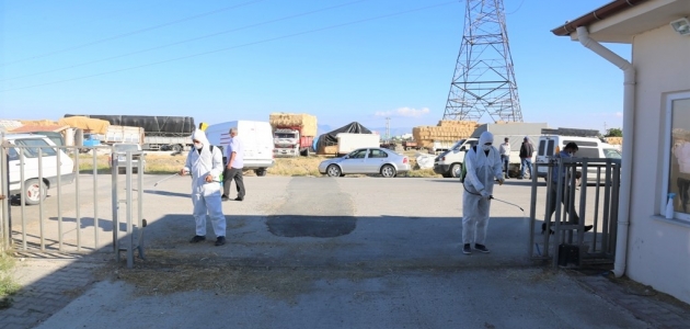 Ereğli hayvan pazarı dezenfekte çalışmalarının ardından kapılarını açtı