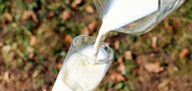 Süt sektörünün “su kullanım haritası“ çıkarıldı