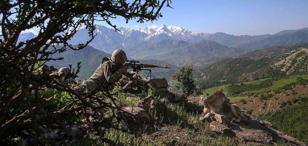 Bitlis’te 2 terörist etkisiz hale getirildi