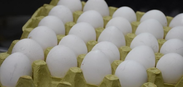 İran yumurta ihracatını durdurdu