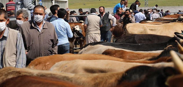 Kurban Bayramı öncesi korkutan haber! 1 milyon kişi risk altında...