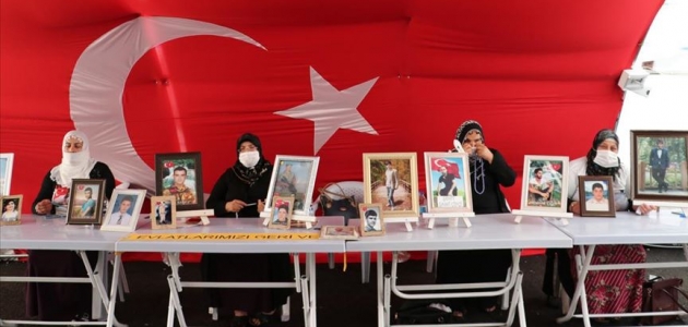 14 ailenin evladına kavuşması Diyarbakır annelerine umut oldu