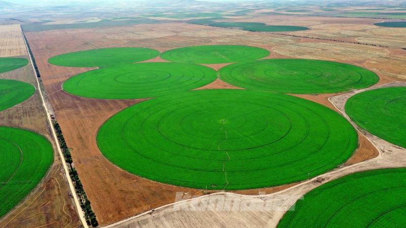 Konya’nın devasa dairesel tarlaları gökyüzünden görüntülendi