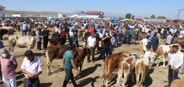 Doğu Anadolu’daki hayvan pazarları en hareketli günlerini yaşıyor