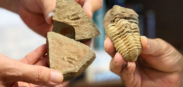 Konya’da 500 milyon yaşında fosil bulundu