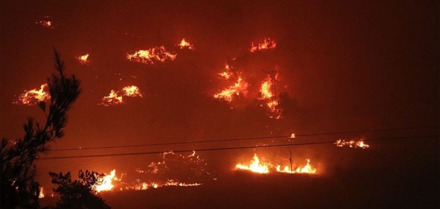 İzmir’deki orman yangını sebebiyle boşaltılan bir site yandı