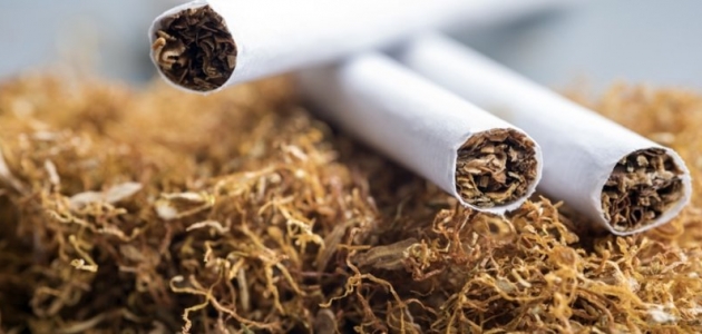 Ataşehir’de 217 kilogram kaçak tütün ele geçirildi