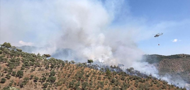 Muğla’daki orman yangını 17 saatte söndürüldü