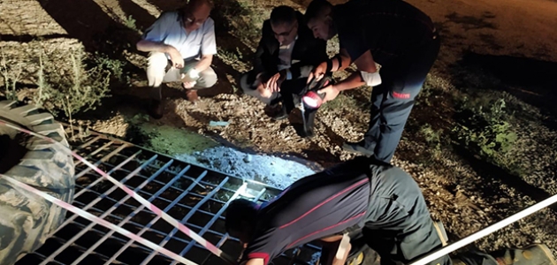 Konya’da sulama kanalına düşen köpeği itfaiye kurtardı
