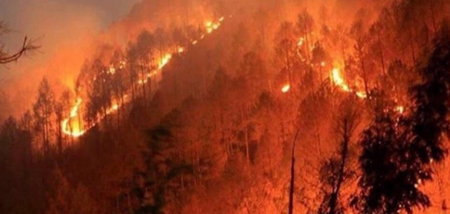 Amanoslar’daki orman yangınında 4 hektar alan zarar gördü