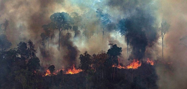 Brezilya’nın Amazon ormanları yanmaya devam ediyor
