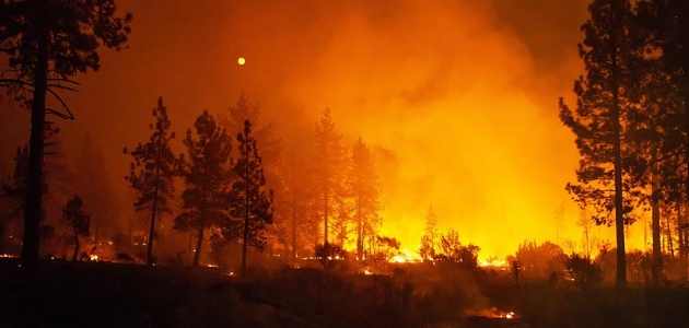 Trump California’daki yangınları “büyük afet“ ilan etti