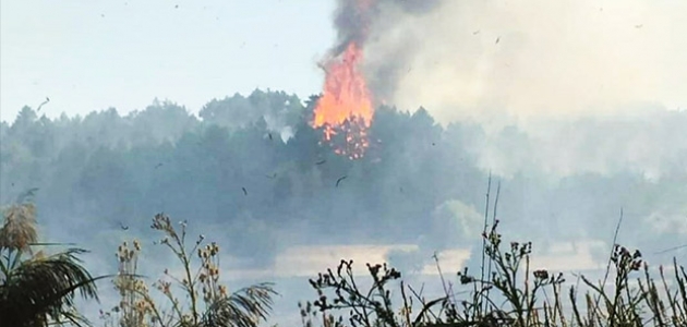 Konya’da anız yangınında 5 hektar ormanlık alan zarar gördü