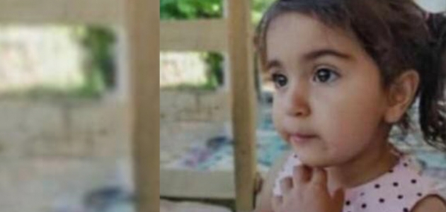 Kaybolan 2,5 yaşındaki kız çocuğu arazide ölü bulundu