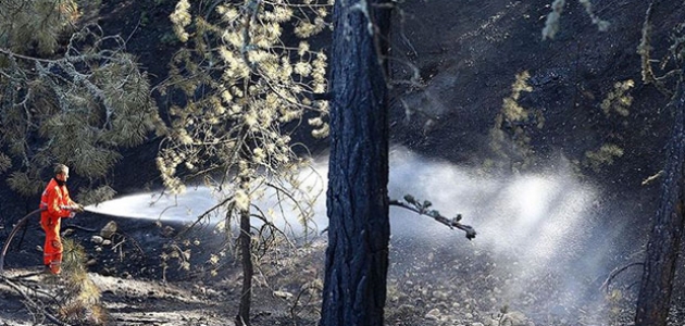 Bakan Pakdemirli: Ankara’daki orman yangını kontrol altına alındı