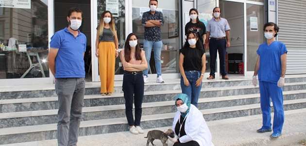Konya’da filyasyon ekipleri yaralı köpek için seferber oldu