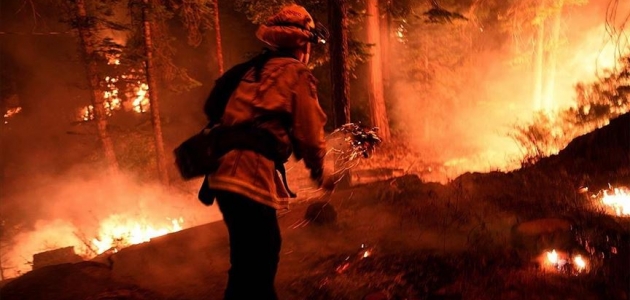 ABD’nin batısındaki orman yangınlarında ölü sayısı 15’e yükseldi