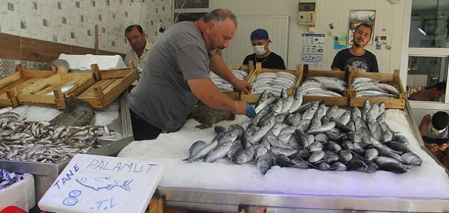 Sinop’ta denize açılan balıkçılar limana 600 kasa palamutla döndü