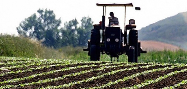 FAO: Küresel tarım ve gıda ticareti 1995-2018 döneminde iki kattan fazla arttı