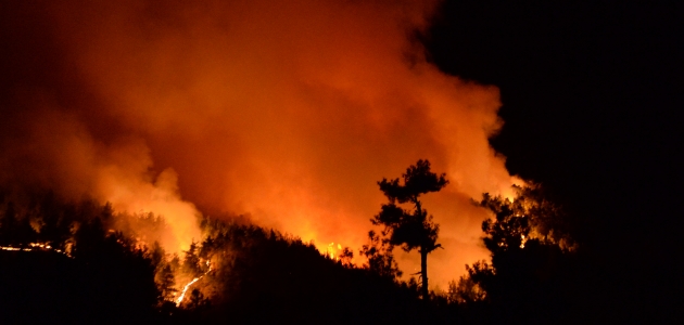 Kahramanmaraş’taki orman yangınına müdahale sürüyor