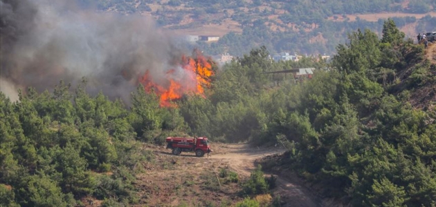 Hatay’daki orman yangınları kontrol altına alındı