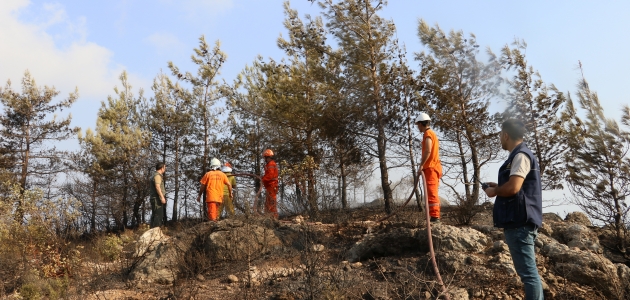 Hatay’daki orman yangınında soğutma çalışmaları tamamlandı