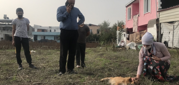 Komşusunun tüfekle öldürdüğü köpeğinin ardından gözyaşı döktü