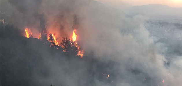 Amanoslar ve Toroslar’da 6 ayrı noktada çıkan yangınlara müdahale sürüyor