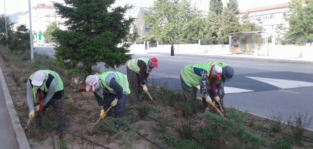Seydişehir Belediyesi’nden sonbahar temizliği