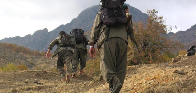 Mardin’de PKK’lı bir terörist tutuklandı