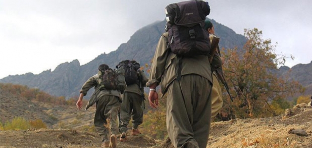 PKK terörüne ve şiddetine karşı ortak mutabakat çağrısı