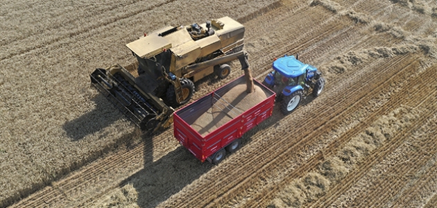 Hububat ve bakliyat ihracatında 5,9 milyar dolar gelir