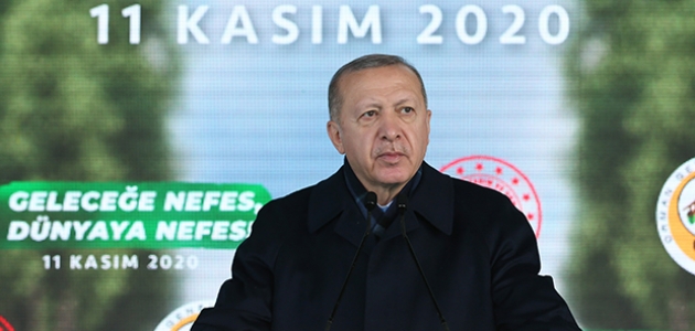 Cumhurbaşkanı Erdoğan: PKK’lıların yaktıkları ormanlardan hiç bahsetmiyor