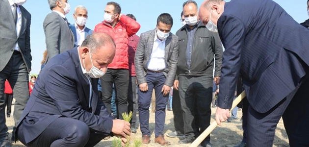 Ereğli Belediyesi binlerce fidanı toprakla buluşturdu