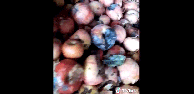 Tarım ve Orman Bakanlığından “çürük elma“ videosuna inceleme