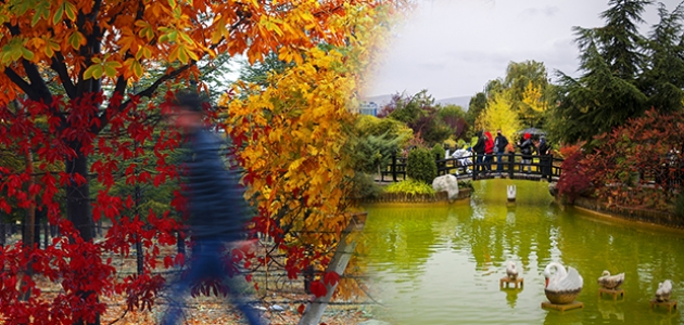 Konya’daki Kuğulu ve Japon Parkı hazan renklerine büründü