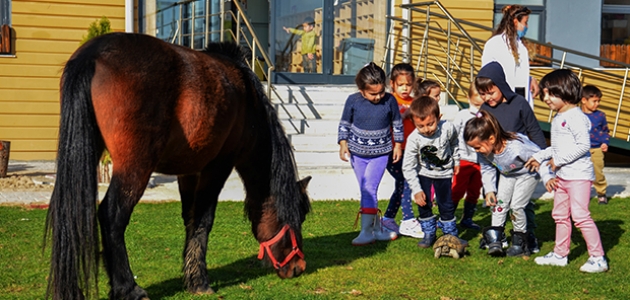 Konya’da bir anaokulunun öğrencileri at, ceylan ve kuzularla eğitim görüyor