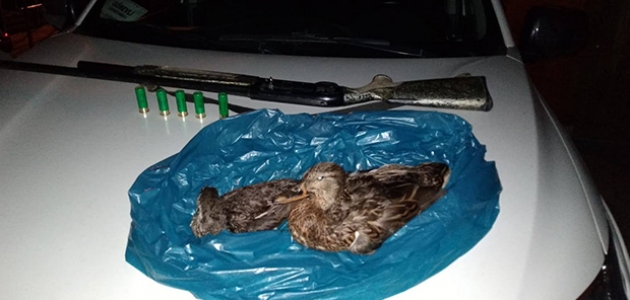 Beyşehir’de yasa dışı ördek avına ceza