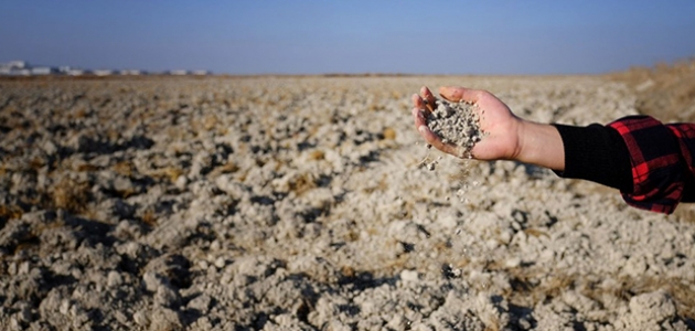 Konya Ovası'nda kuraklık alarmı