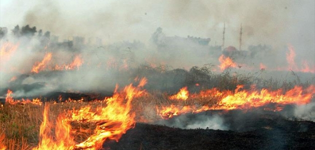 Çiftçiler, anız yangınlarıyla mücadelede destek istiyor