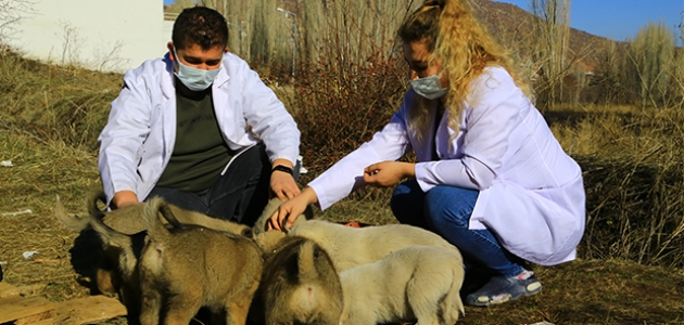 Engelli köpeğe ve 11 yavrusuna “koronavirüs savaşçıları“ sahip çıktı