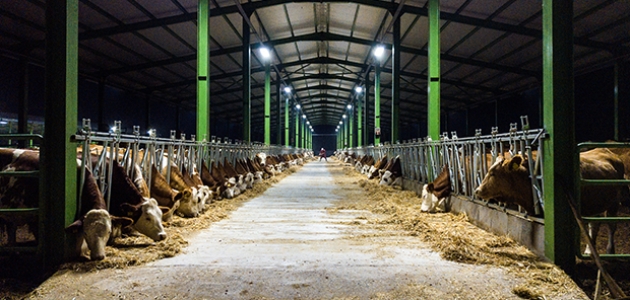 Konya DSYB’den süt üreticilerine müjde! Alım fiyatı artırıldı