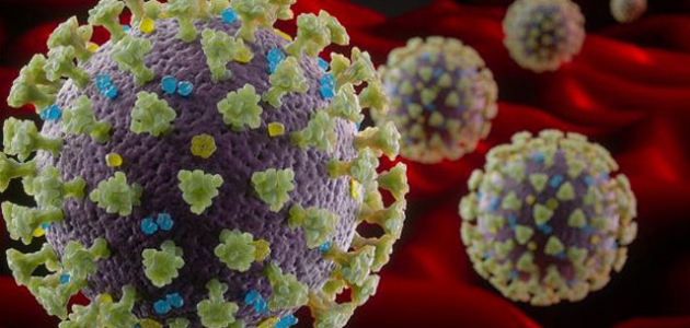 Koronavirüse karşı bağışıklığı korumanın yolları