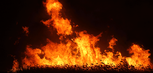 Beyşehir Gölü kenarındaki sazlık alanda yangın