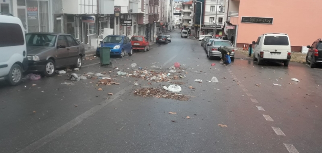 Beyşehir’de şiddetli rüzgar hayatı olumsuz etkiledi