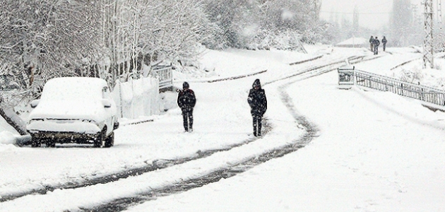 Doğu Anadolu'da soğuk hava etkisini sürdürüyor 